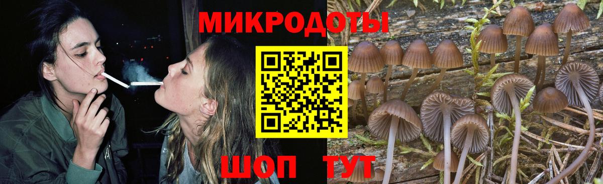 Псилоцибиновые грибы GOLDEN TEACHER  Вход с VPN  дарнет шоп  Моршанск 